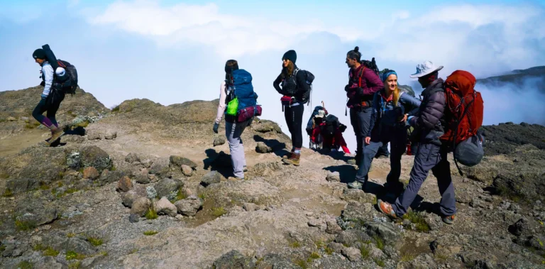 kilimanjaro
