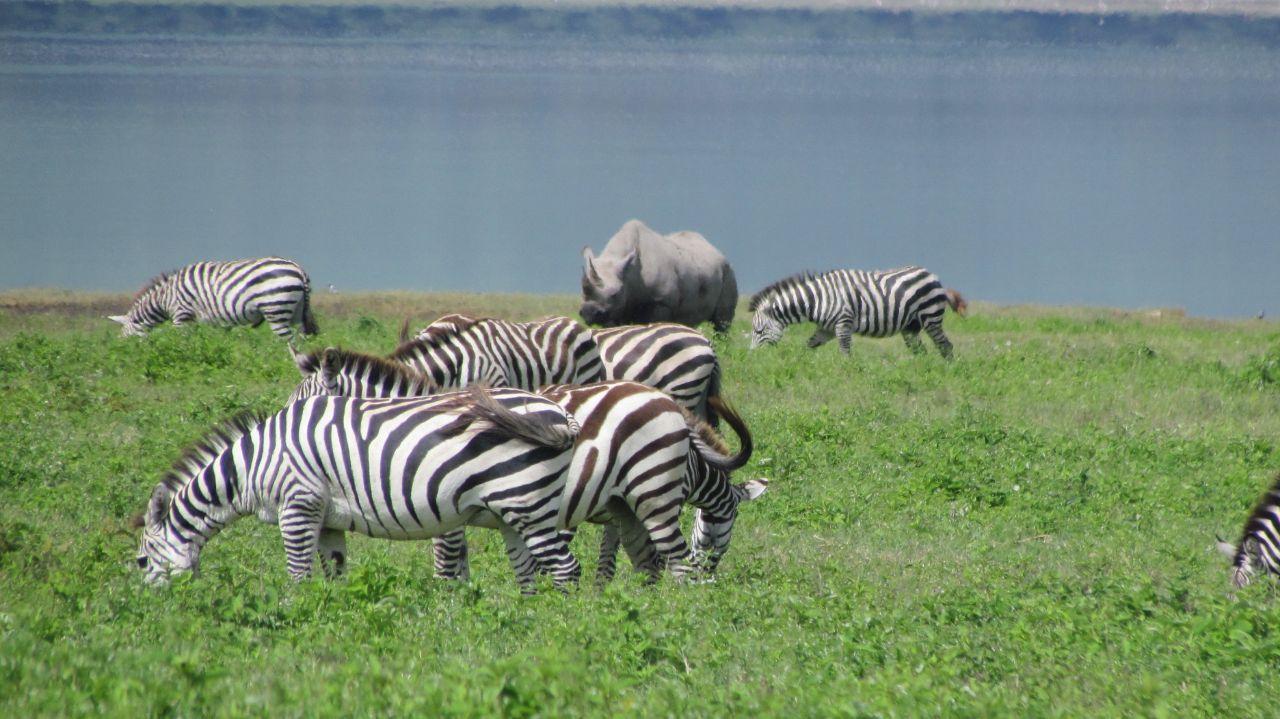 Manyara 1