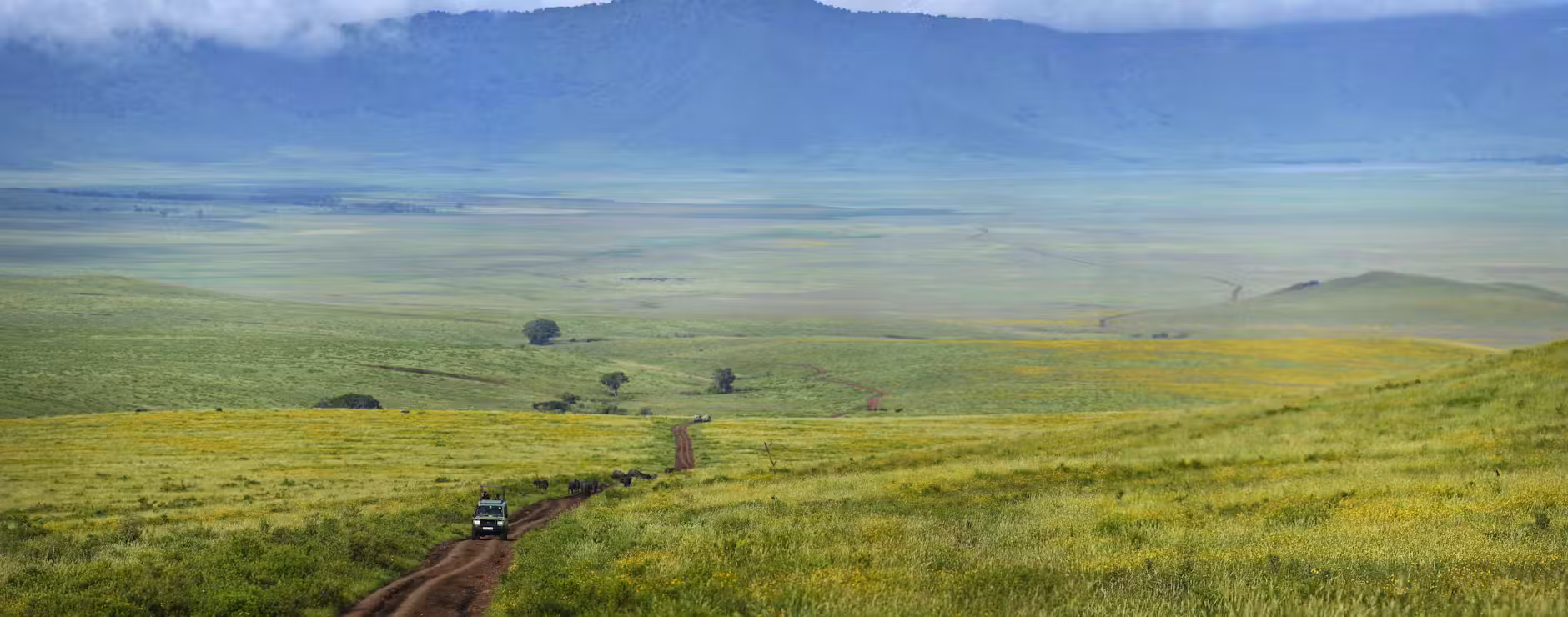 Ngorongoro