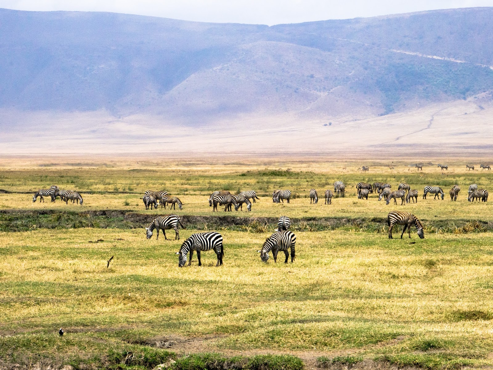 Ngorongoro_Safari_Tanzania